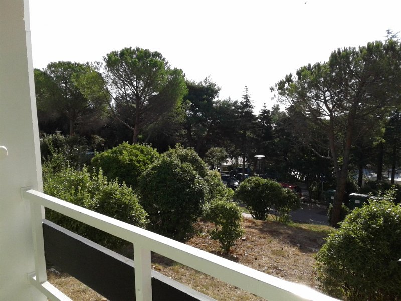 20160827_091032 01.jpg